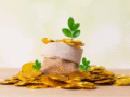 gold loans