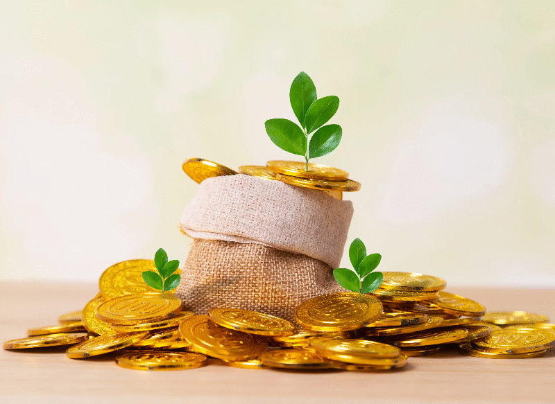 gold loans