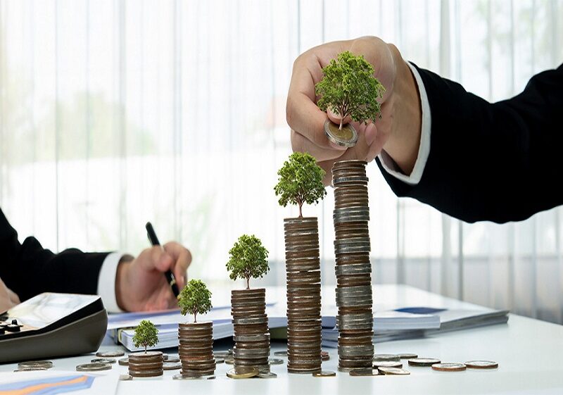 wealth management.